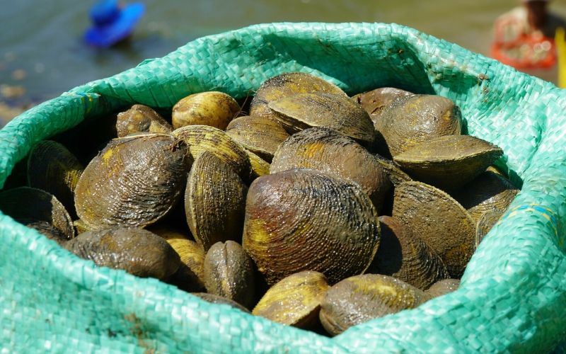 Con vọp là con gì? | Kho nông sản ID Food