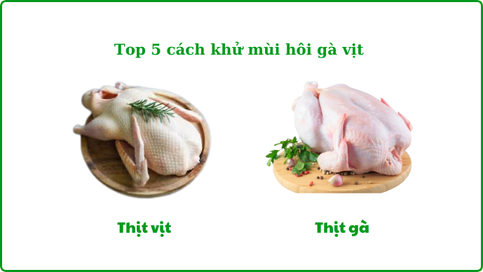 Top 5 cách khử mùi hôi gà vịt tại nhà đơn giản, hiệu quả